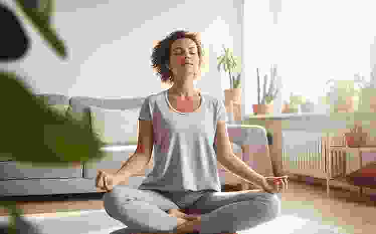 thevedaproject.com